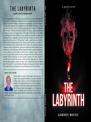 cover image of The Labyrinth